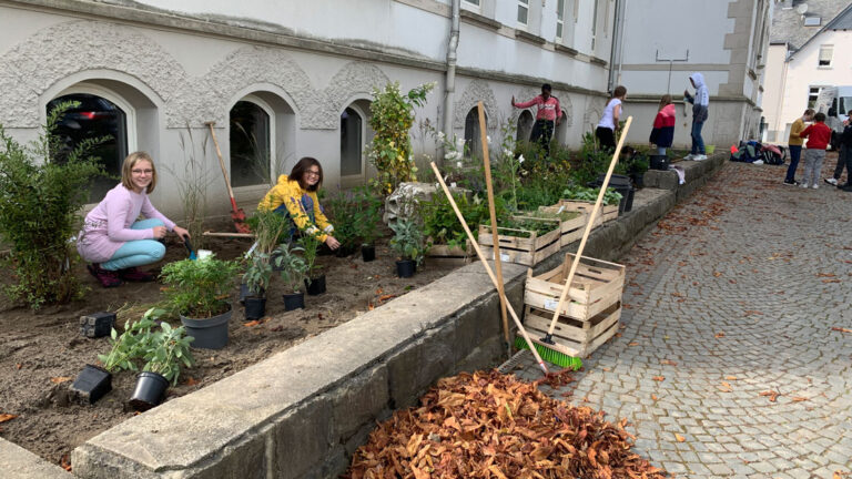 Das Green Team pflanzt wieder!
