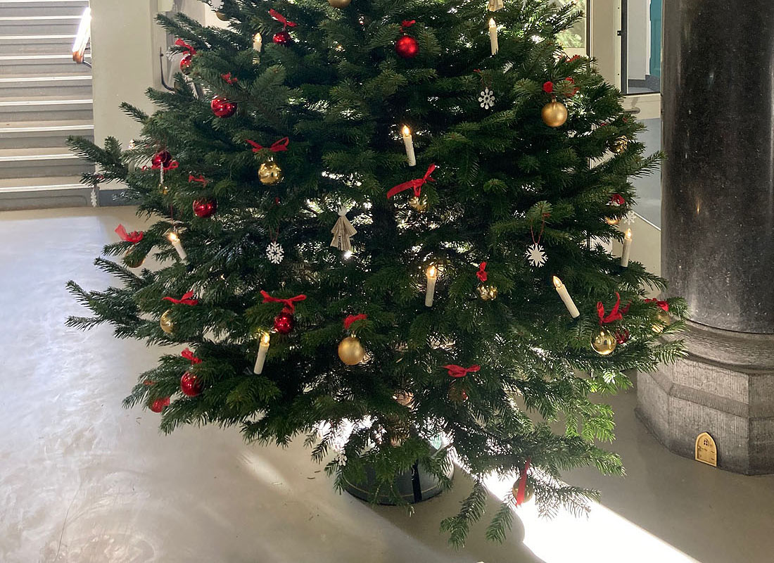 Der diesjährige Weihnachtsbaum am NEG hat seinen Platz gefunden und strahlt in voller Pracht. Aber nicht nur der Weihnachtsbaum ist neu, da ist auf einmal ein Türchen.  Wo kommt das denn her? Manchmal, wenn es in der Schule ganz leise ist, kommen lustige Geräusche aus dem Türchen...